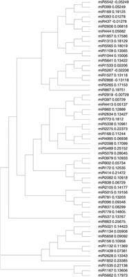 In silico Identification of miRNAs and Their Targets in Cluster Bean for Their Role in Development and Physiological Responses